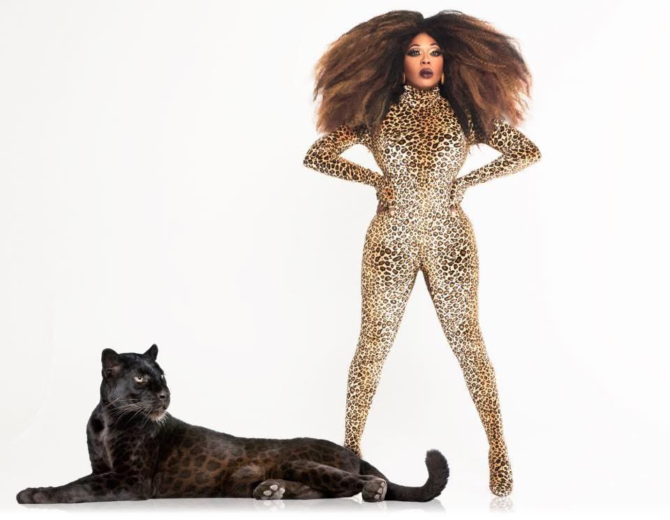 BeBe Zahara Benet (@bebezaharabenet) on Twitter photo 