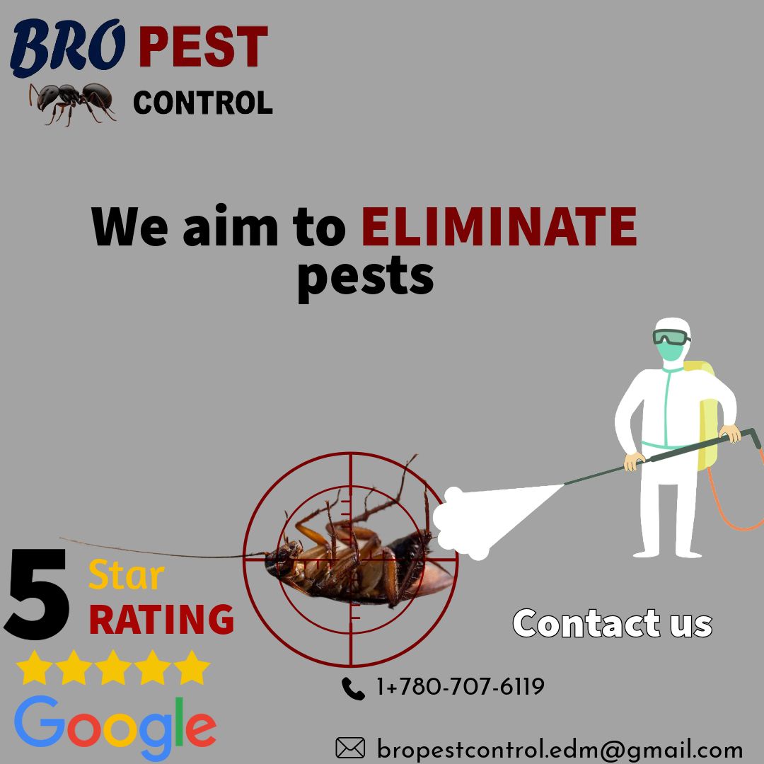 Bropestcontrol's tweet photo. https://t.co/Nmo0lWsdt9