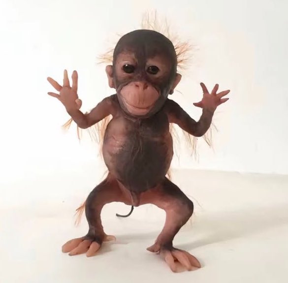 i took her to my penthouse then i freaked it