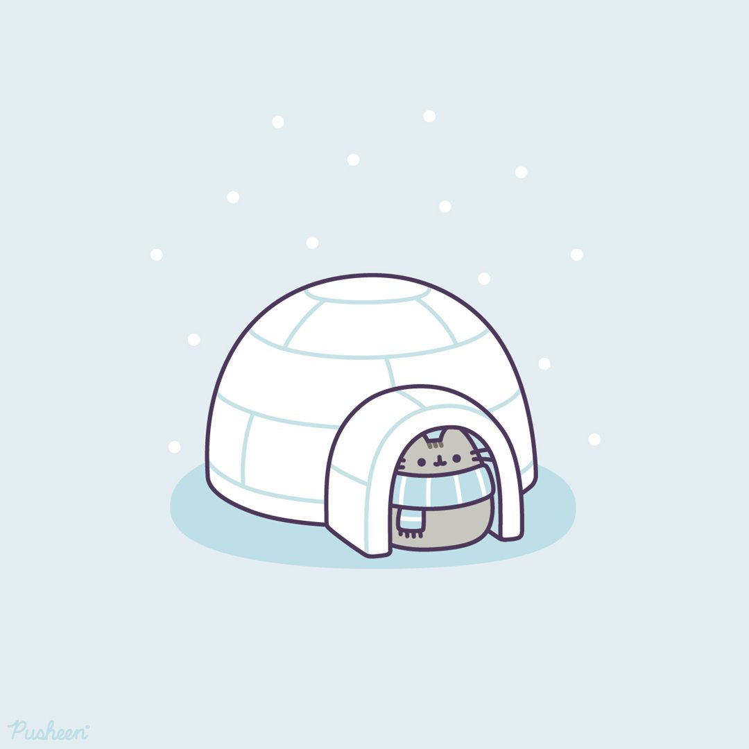 pusheen_jp's tweet photo. ♪猫はカマクラで丸くならない https://t.co/q81zErVcK8