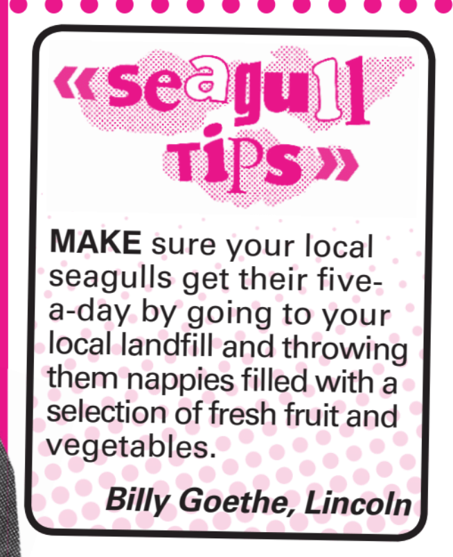 subscriptions >>> shop.viz.co.uk/viz339tw