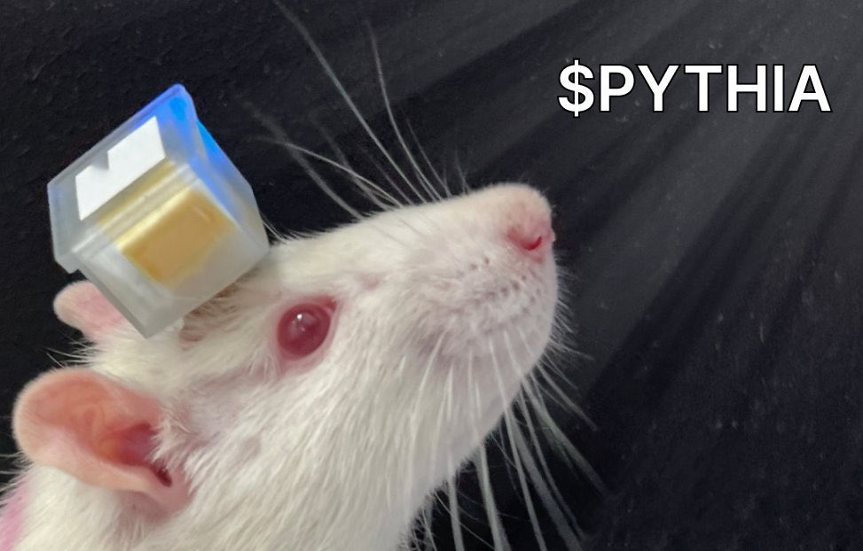 cakeit0's tweet photo. @moonshot The future of #decsi $pythia , super intelligent ai rat programmed on @neirylab https://t.co/HjWqSqRxnh
