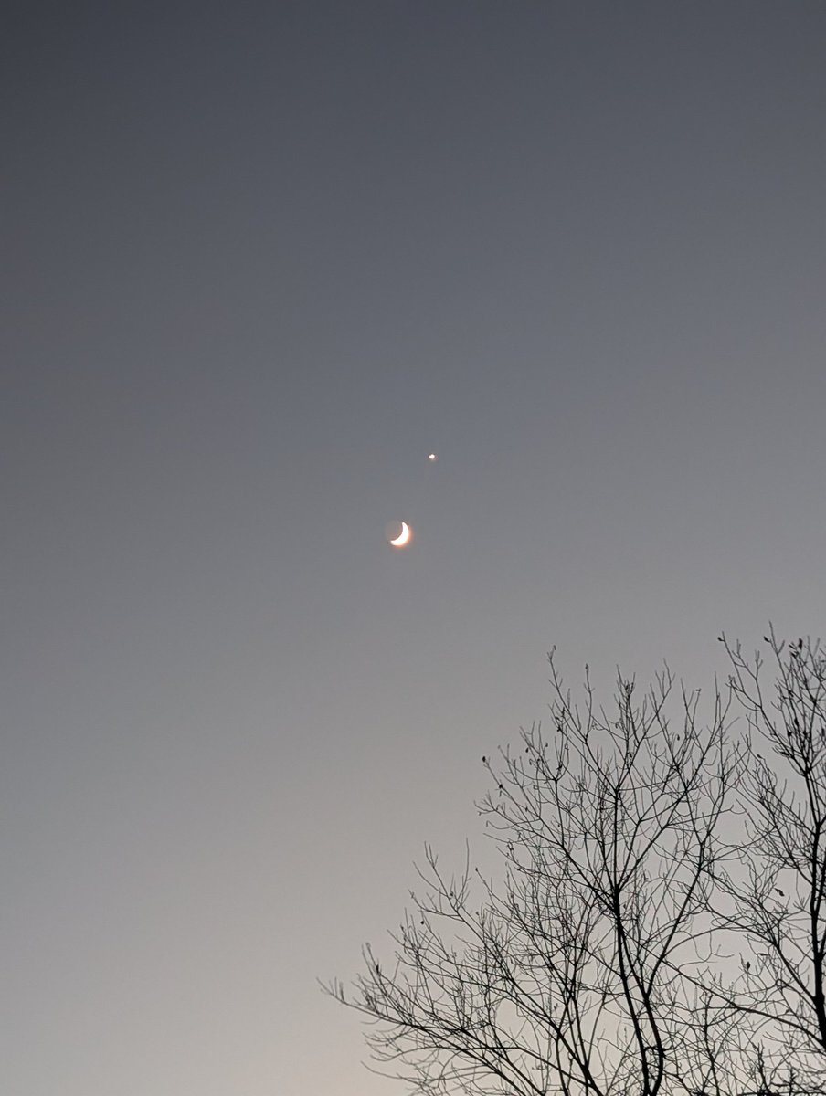 Japhael21's tweet photo. @SpaceScience_ On voit le reste de la lune dans l'ombre mais je ne le voyais pas à l'oeil nu (mais je suis bigleuse, ça joue peut-être 🤔). https://t.co/Oz7j78NM9b