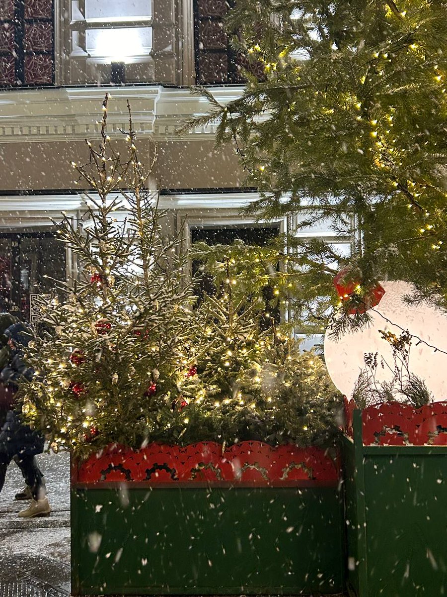 ¡¿Кто Мяукает¿¡ tweet media