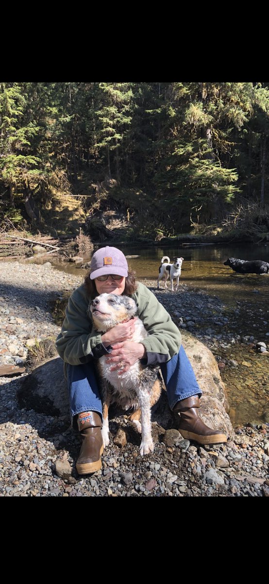 Alaska Kat tweet media