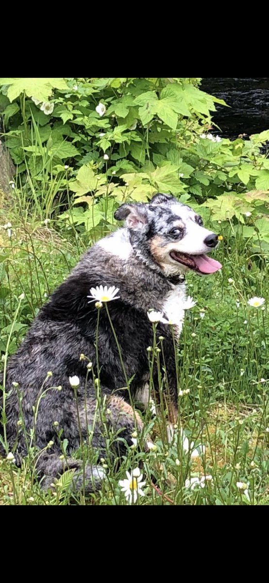 Alaska Kat tweet media