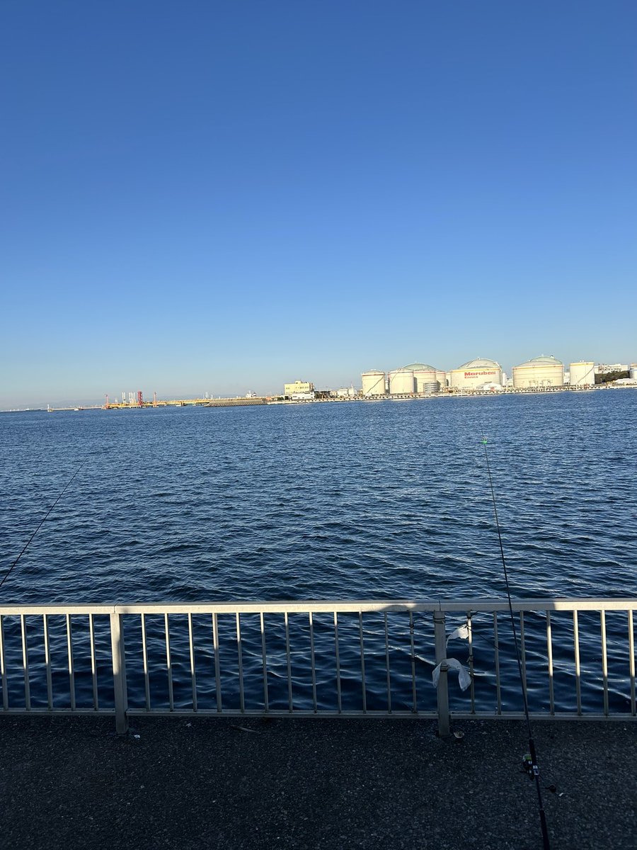 fishig1208's tweet photo. 20時間釣りするって本当病気だと思う笑
そろそろ嫁に怒られそう、、。笑 https://t.co/AY86aIwmqQ