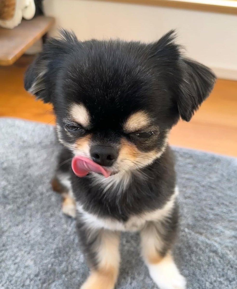 gatilgo ☆ tweet media