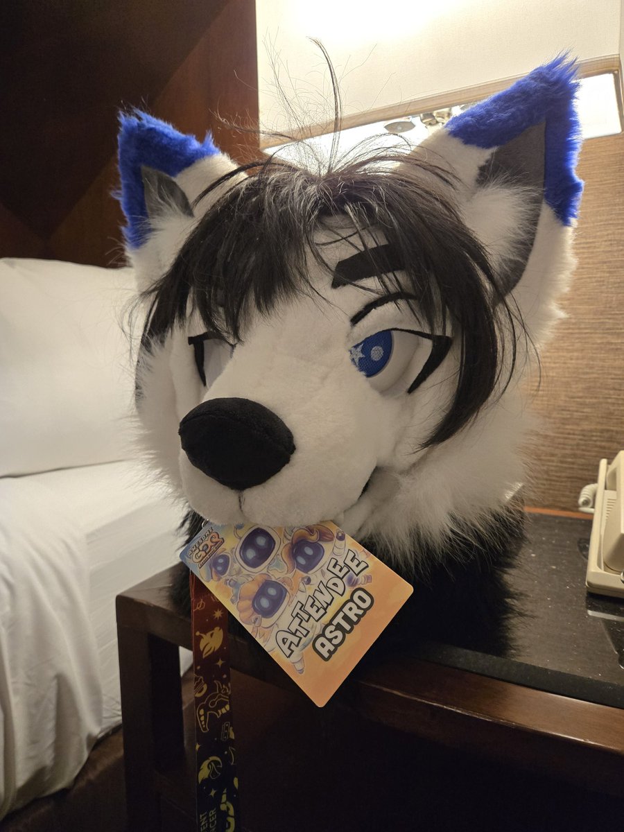 Astro_Werewolf's tweet photo. Looks like someone is ready for a week of GDQ :) https://t.co/cBIHjnRZPa