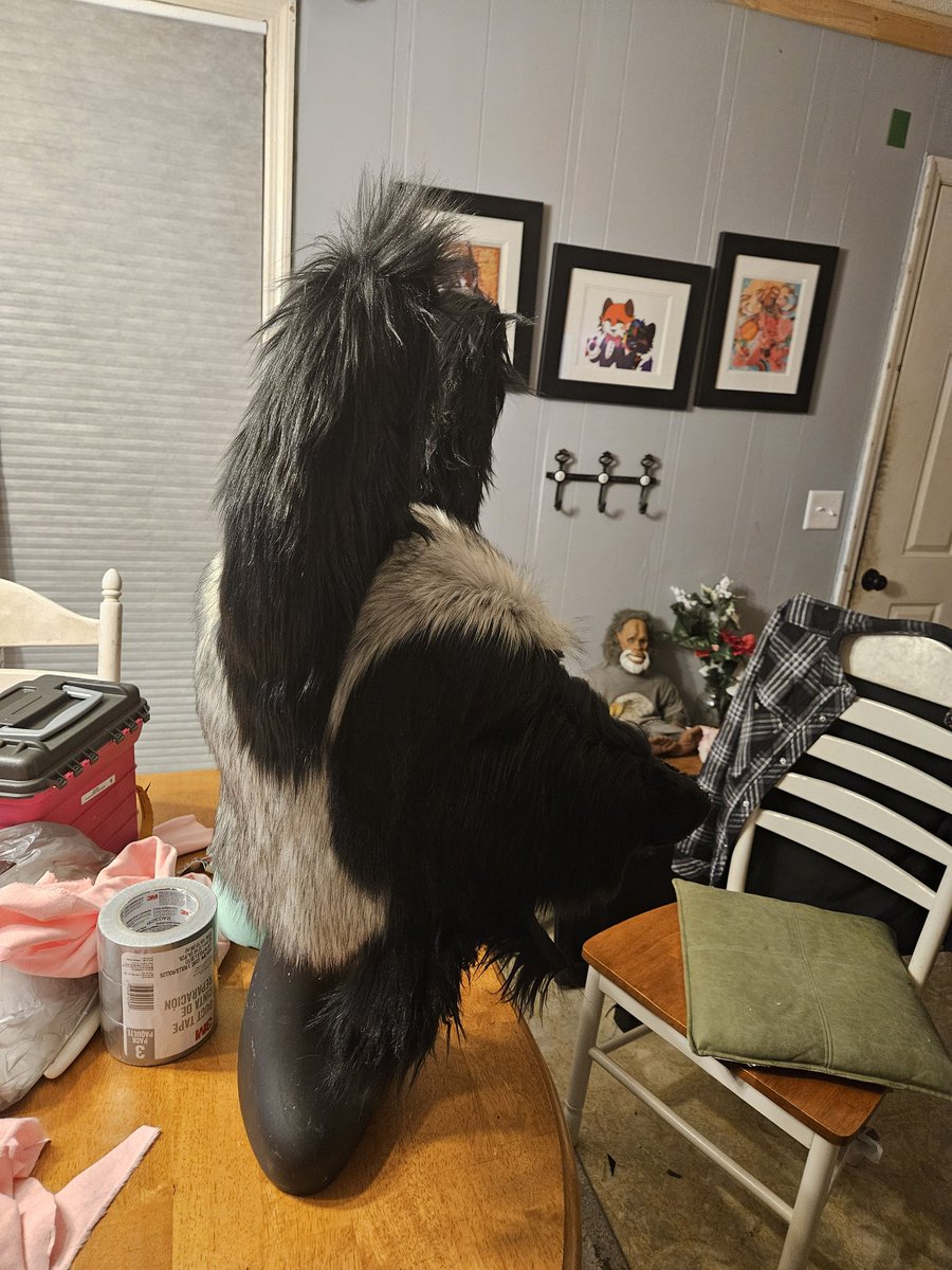 The scruggly is almost ready to see the world