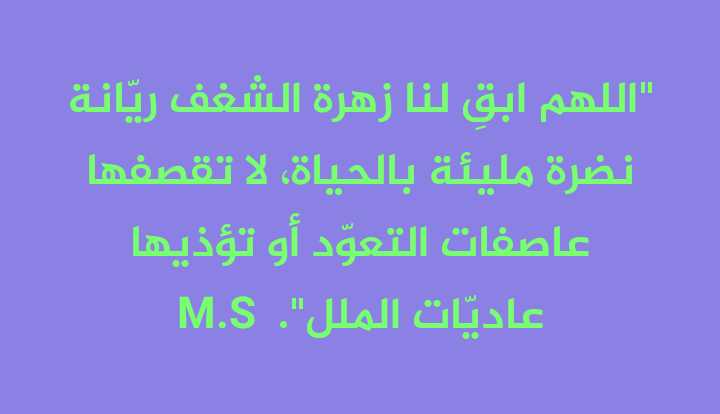 تابعني اتابعك مصر ف🇪🇬🇪🇬🇪🇬🇪🇬💗تابعني اتابعك (@masoud_chef) on Twitter photo 