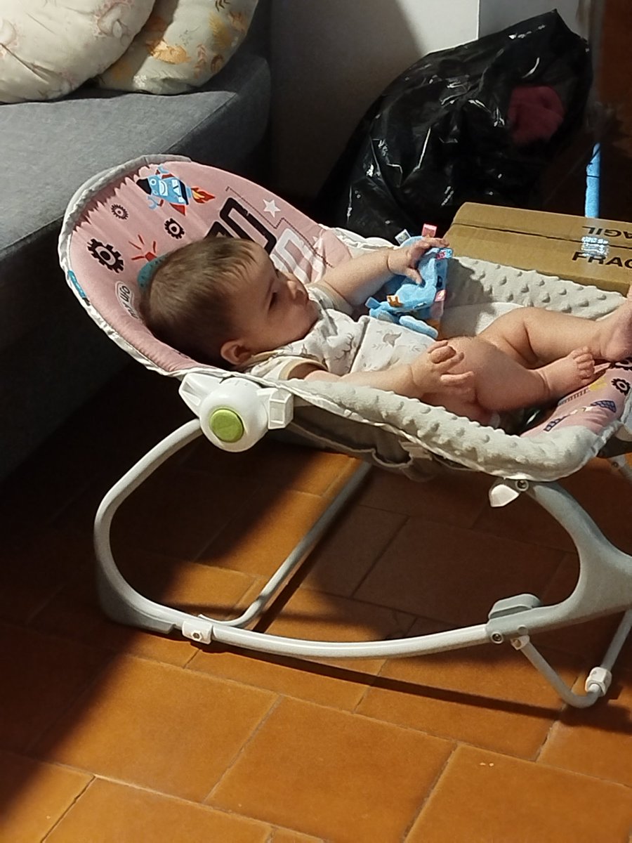Pri_Oj's tweet photo. Si me ven un 4 de enero viendo a mi bebé así de tranquilita mientras nosotros ordenamos el quilombo de una mudanza a casa nueva para que ella crezca con patio, déjenme, ahí es donde quiero estar ♥️ https://t.co/NllhXHD06J