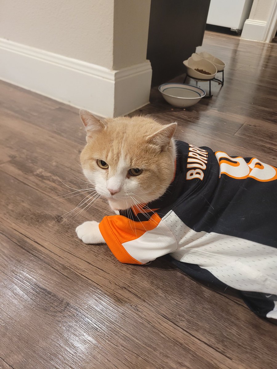 BrickKungFu's tweet image. @Bengals  Your biggest fan, Bob in Texas is rooting for Joe and you guys tonight! #GoJoeGo #Bengals #JamarrChase #Burrow