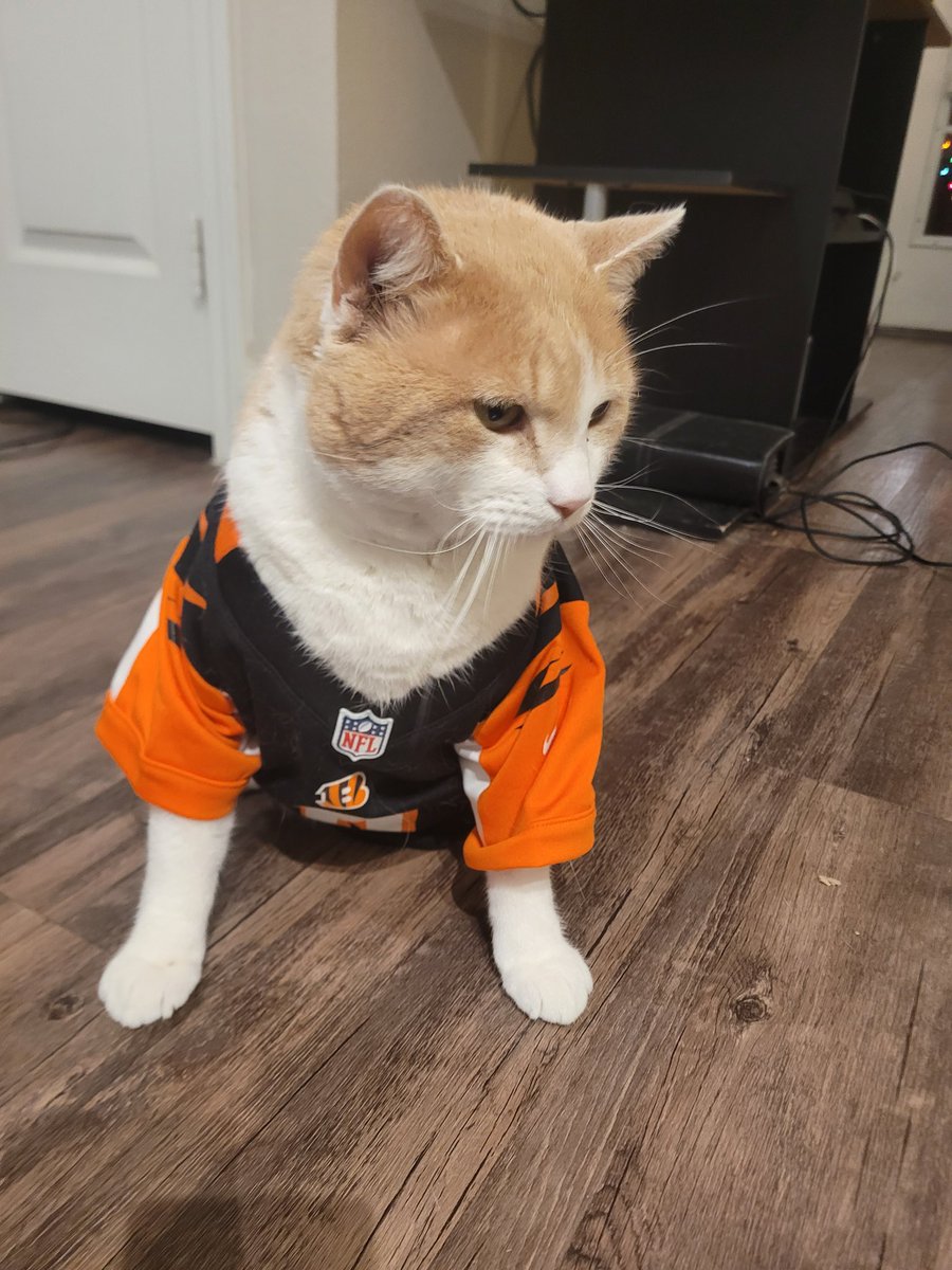 BrickKungFu's tweet image. @Bengals  Your biggest fan, Bob in Texas is rooting for Joe and you guys tonight! #GoJoeGo #Bengals #JamarrChase #Burrow