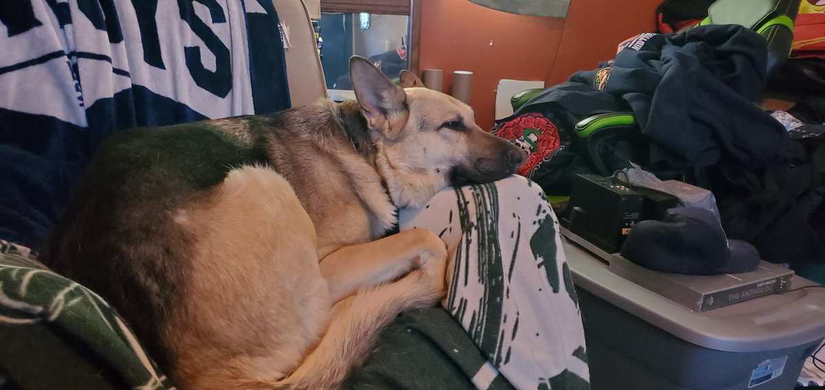 He doesn't know how much I miss him ,the late night's playing ball to the  compassion he showed me in my lowest moments. I know he is in a better place.but man, did he leave the biggest hole in my heart. Love you sarge you were the goodest boy  I could have been gifted  11/11/24