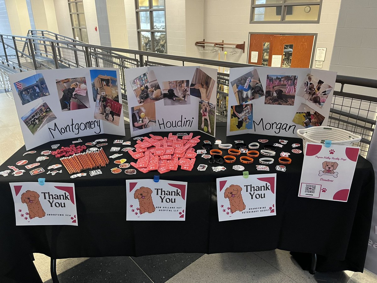 Cathy Koenig tweet media