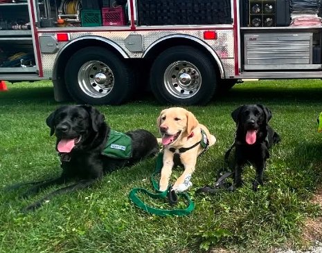 Cathy Koenig tweet media