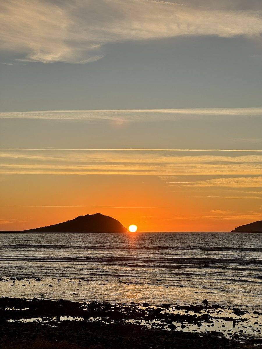 🌅