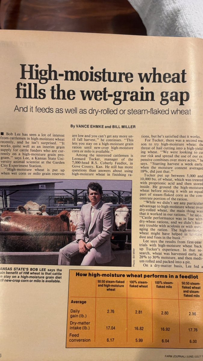 waltopher2's tweet image. Just a PSA/reminder for all you feedlot fellas- 😉

Guess what year?? Has wheat paired 50:50 with milo- which I’ve often done in backgrounding with good results