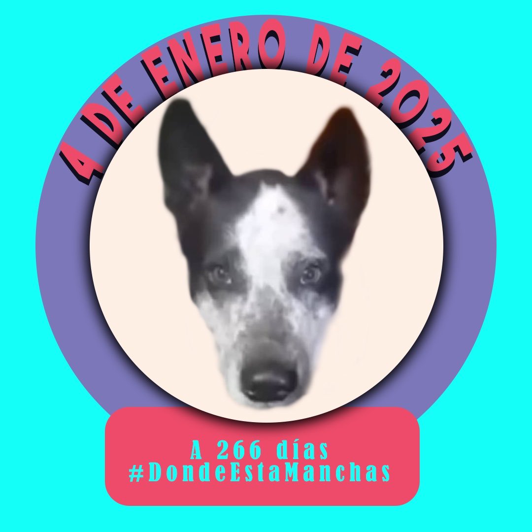 NuriTrejo's tweet photo. #4Ene #TWITTAZO #X LOS MÁS BUSCADOS V. Manchas es el rostro de muchos anónimos, víctimas de perversión y de indiferencia. Quejarse porque somos su voz, no habla mal de nosotros. #DondeEstaManchas? #LuluSomosTodos... https://t.co/9EawCDV0vh