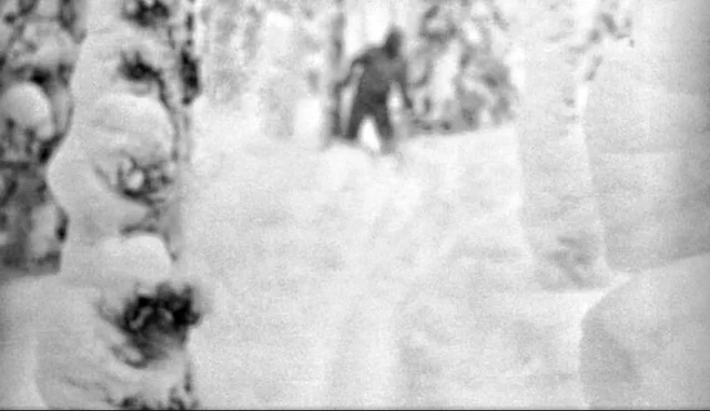 Mystery Wire tweet media