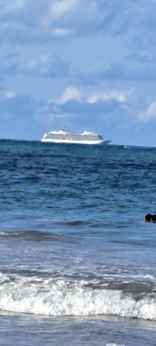 Al Tunnell tweet media