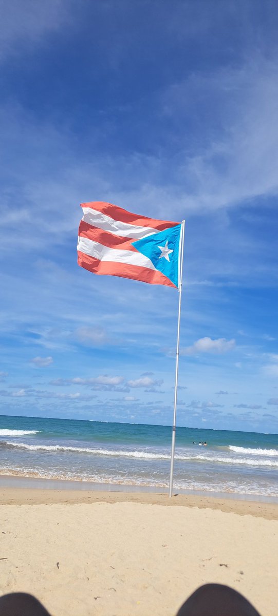 Al Tunnell tweet media