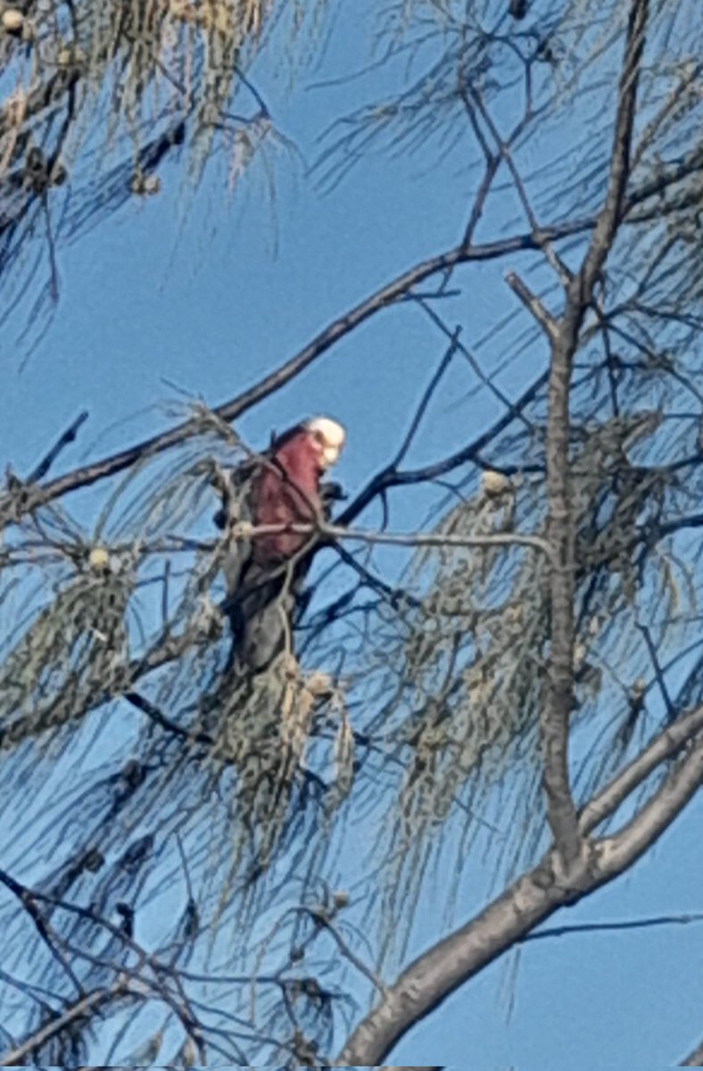 Kellie 📕 tweet media