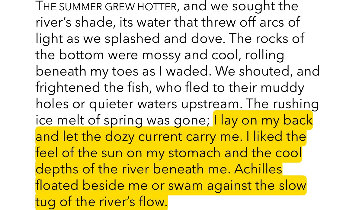 🐈‍⬛ tweet media