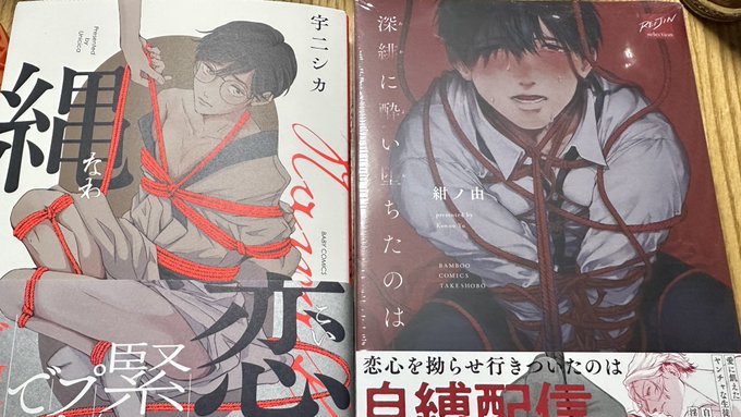 このジャンルはBL作品の方が相性が良いなという結論に至りました
そして緊縛シーンの縄描くアシ現場あったの思い出した 