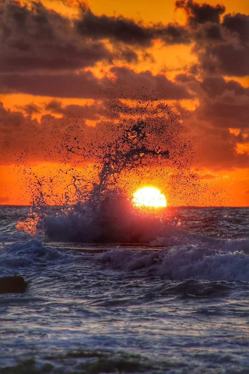 Photographers, drop few SUNSET pictures ✨