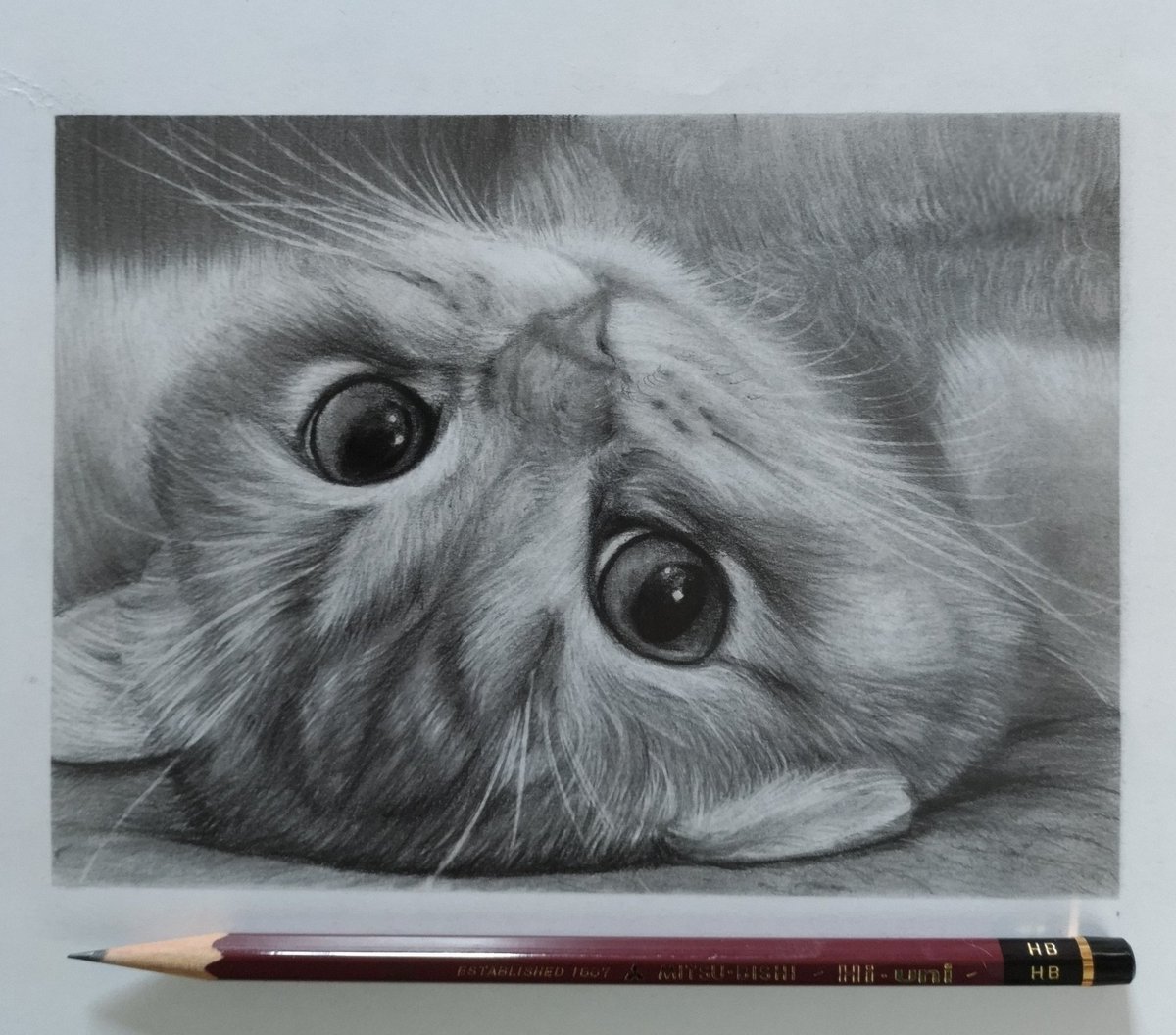 こんにちは😺
小さなスケッチしか描けませんが今年もどうぞよろしくお願い致します🙇💓💓
#鉛筆画　#動物画　#猫の絵
#保護猫 　#Pinterest　#pencilsketch #pencildrawing