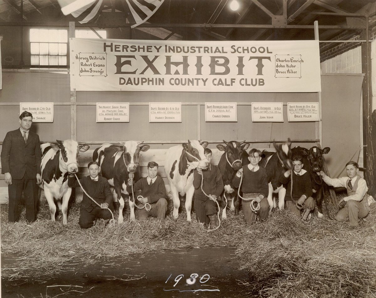 miltonhershey's tweet photo. 🐄🐐🐑 Happy first day of the #PAFarmShow @FarmShowComplex! This year, 15 MHS students in our Agricultural and Environmental Education program will show 13 goats, 4 sheep, and 2 calf pairs in the Open and Youth Shows. Learn more about AEE at MHS: https://t.co/BDAft5fRrP #PAFS2025 https://t.co/n3SBdm0Zez