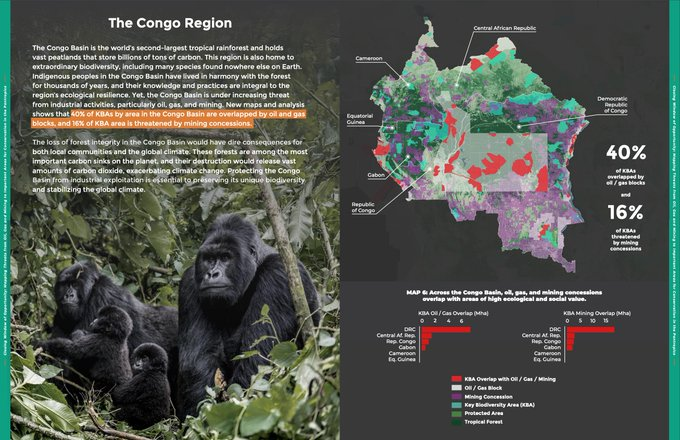 UN Biodiversity tweet media