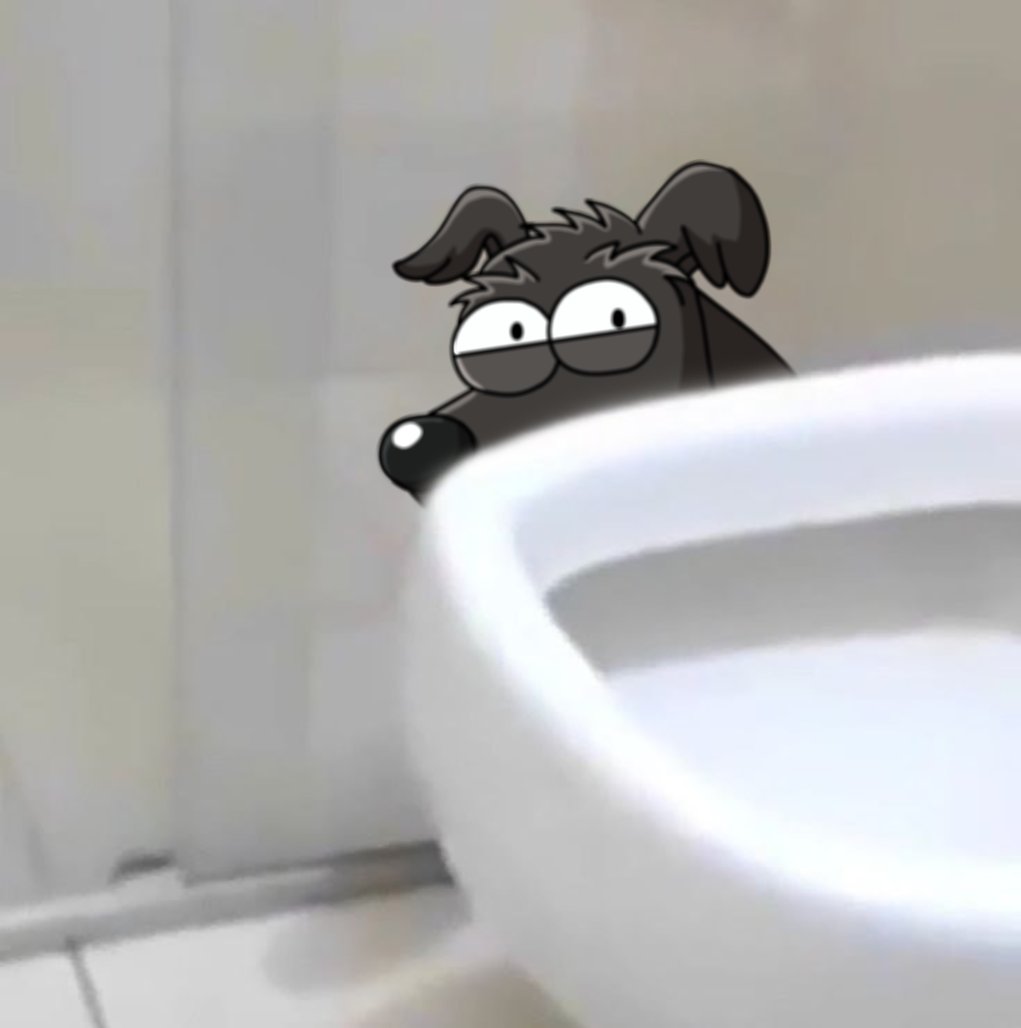 GoodBoy 🐕‍🦺 tweet media