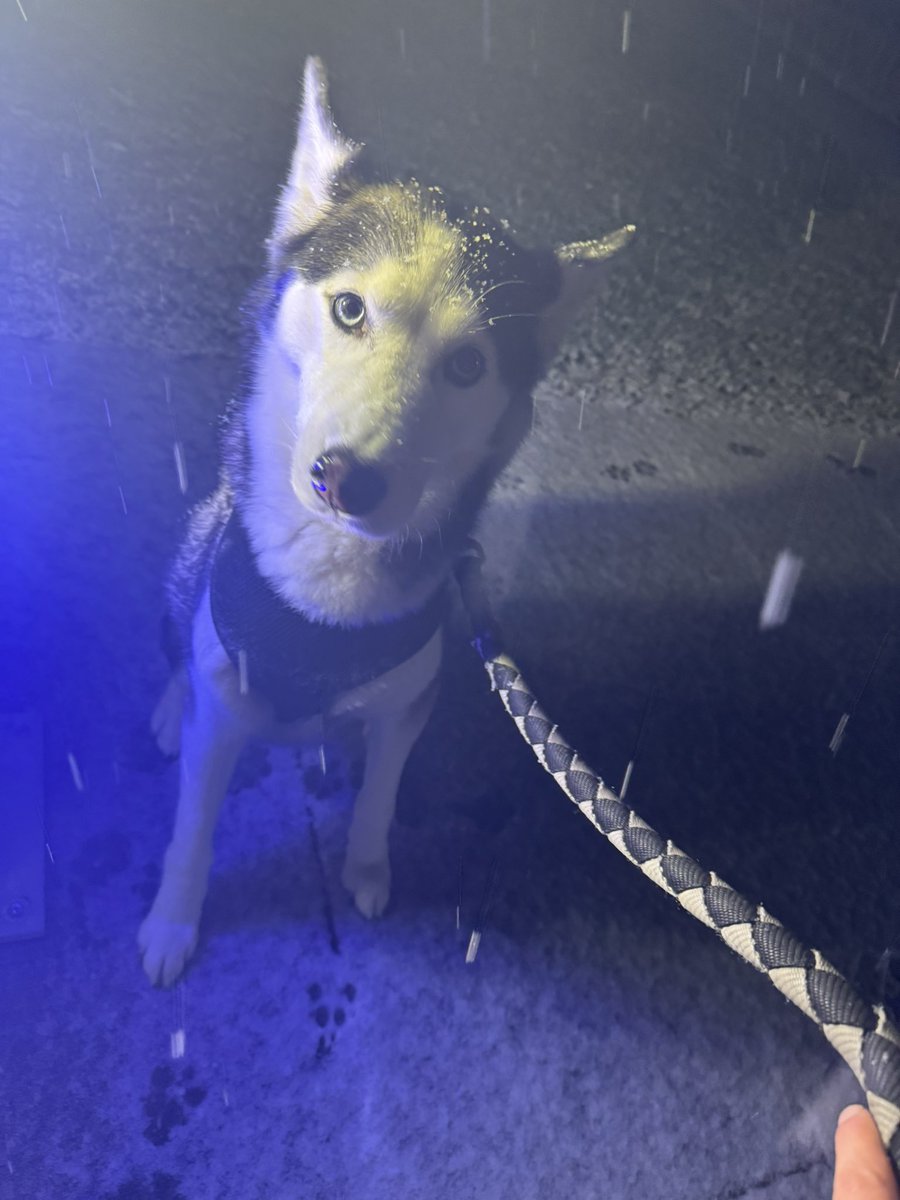 kria225's tweet photo. Trop contente de cette escapade sous la neige mon bébé 🤧🤧🤧 https://t.co/NevIiMRj1P