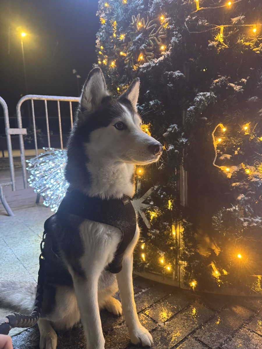 kria225's tweet photo. Trop contente de cette escapade sous la neige mon bébé 🤧🤧🤧 https://t.co/NevIiMRj1P
