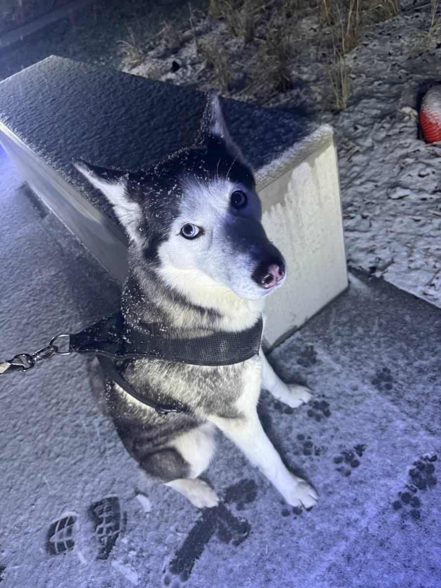 kria225's tweet photo. Trop contente de cette escapade sous la neige mon bébé 🤧🤧🤧 https://t.co/NevIiMRj1P