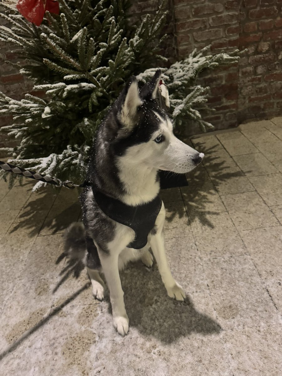 kria225's tweet photo. Trop contente de cette escapade sous la neige mon bébé 🤧🤧🤧 https://t.co/NevIiMRj1P