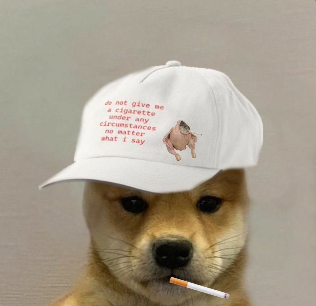 “Do not give me a cigarette under any circumstances no matter what i say” 

Dog $wif cigarettes

$scf
