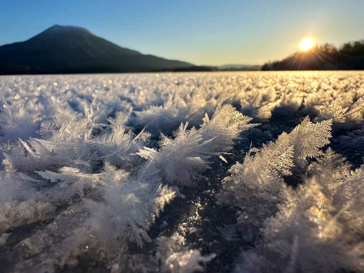 おはようございます☀
今日のフロストフラワーは羽状タイプ❄️
＃阿寒湖