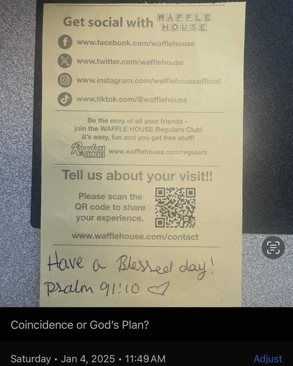 TimeRoamingCat's tweet image. NIV 👀🌚