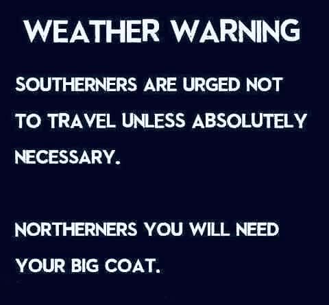 The Queen of Wheeze 🌹 tweet media