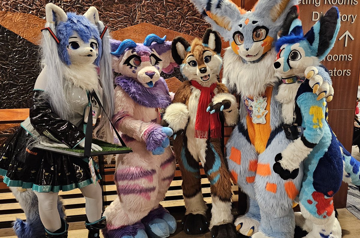 FurryChi's tweet image. Omg it&apos;s the REAL @RivaloWolf 💙
#PDFC2025
