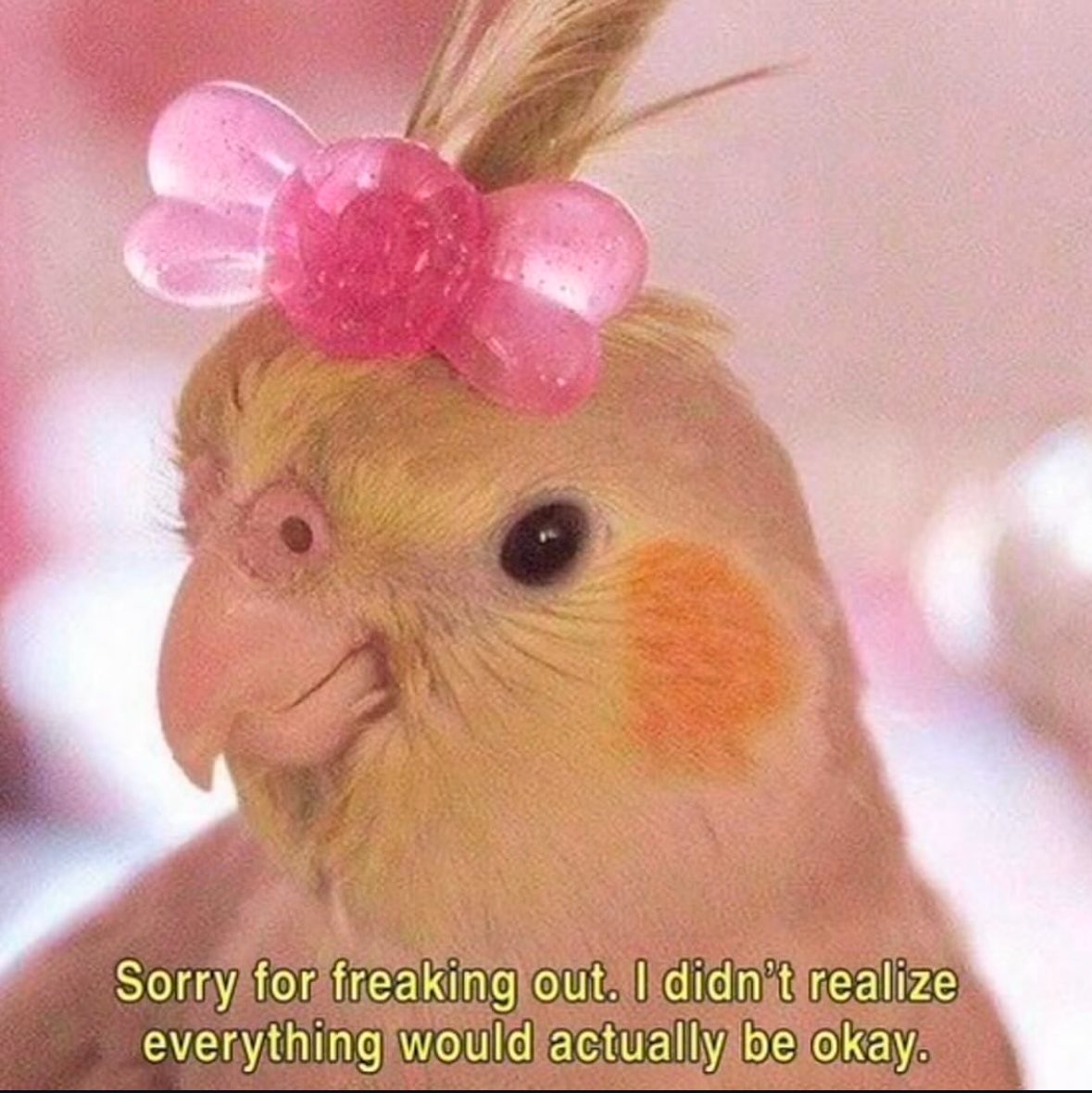 northstardoll's tweet image. 