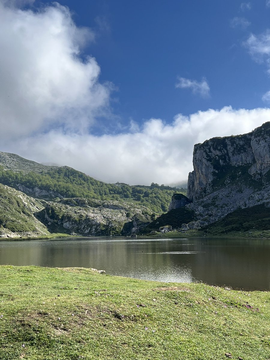 pablodam10's tweet photo. ⛰️💚 https://t.co/oiDLVE72W8