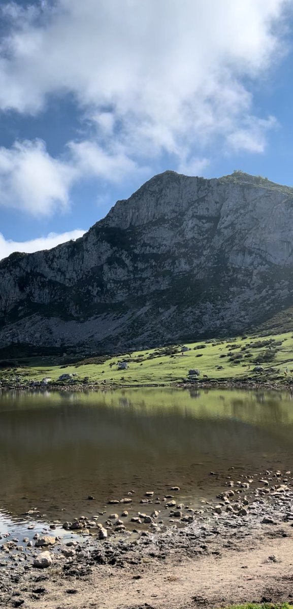 pablodam10's tweet photo. ⛰️💚 https://t.co/oiDLVE72W8