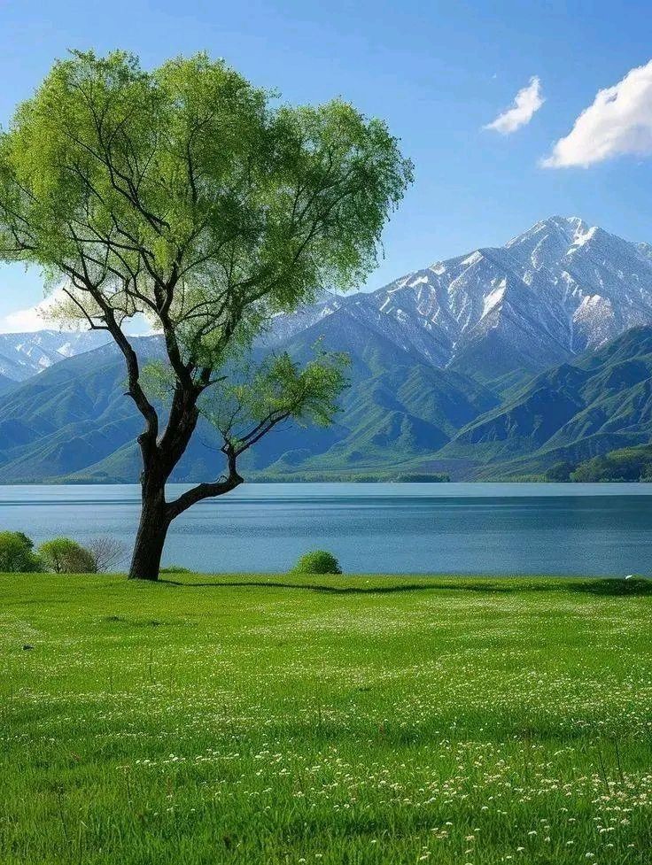 "beautiful to be beautiful" wish! May your day be as lovely as you are.
Good morning 🤪🤪