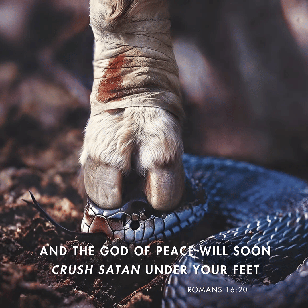 FoChristLife's tweet photo. 'And the God of peace will soon crush Satan under your feet' ~ Romans 16:20 https://t.co/sTh2L9fgPw
