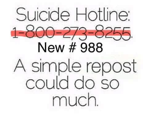 woofknight's tweet image. 